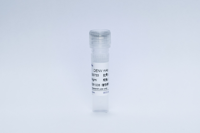 Recombinant Dengue Virus mAb