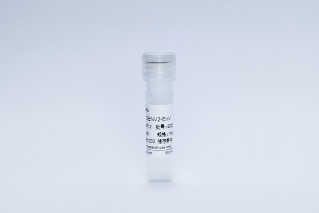 Recombinant Dengue Virus2-E Protein (DENV2-EnV)