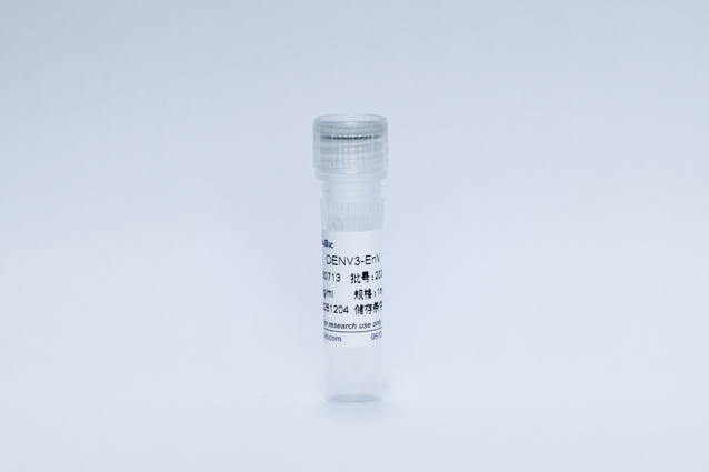 Recombinant Dengue Virus3-E Protein (DENV3-EnV)