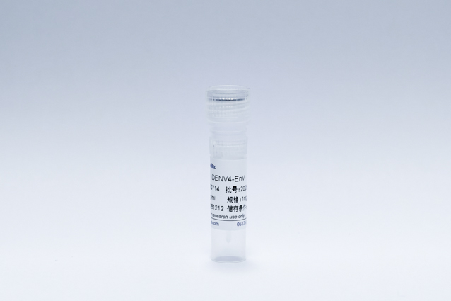Recombinant Dengue Virus4-E Protein (DENV4-EnV)