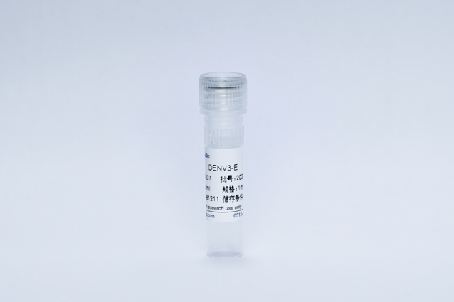 Recombinant Dengue Virus3-E Protein (DENV3-E)
