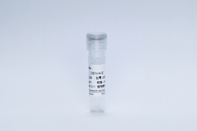 Recombinant Dengue Virus4-E Protein (DENV4-E)