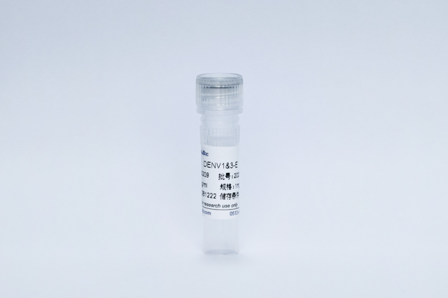 Recombinant Dengue Virus-E Protein (DENV-E) 