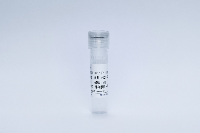 A032303 Recombinant CHIKV E1 fragment ED1+2