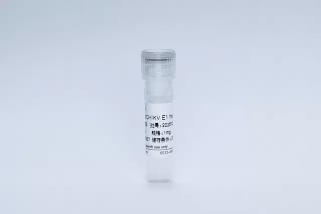 Recombinant CHIKV E1 fragment ED1+2