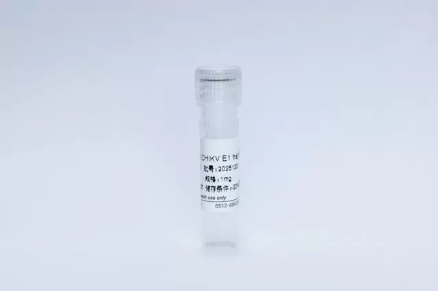 Recombinant CHIKV E1 fragment ED3