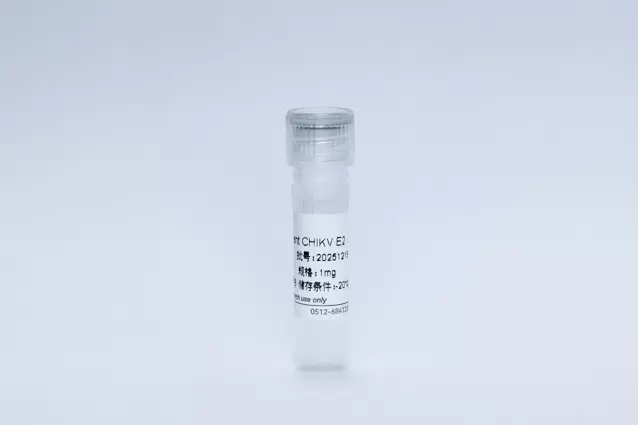 Recombinant CHIKV E2