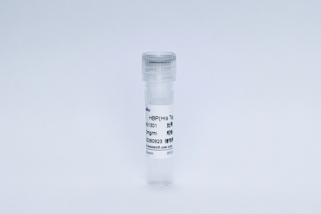 Recombinant Heparin-Binding Protein (HBP(His Tag))