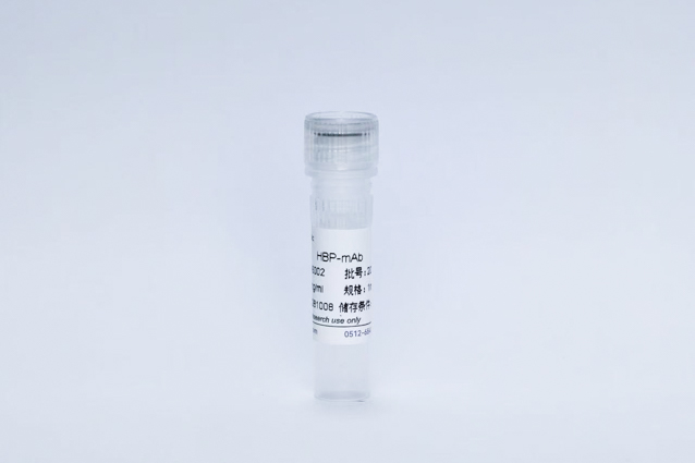 Recombinant Heparin-Binding Protein (HBP-mAb)