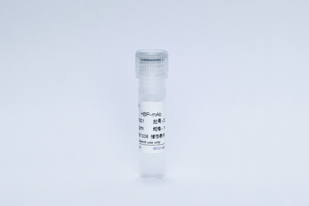 Recombinant Heparin-Binding Protein (HBP-mAb)
