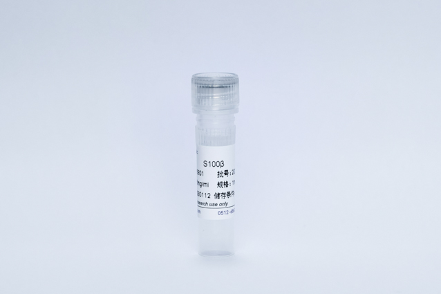 Recombinant S100-&beta; Protein (S100&beta;)