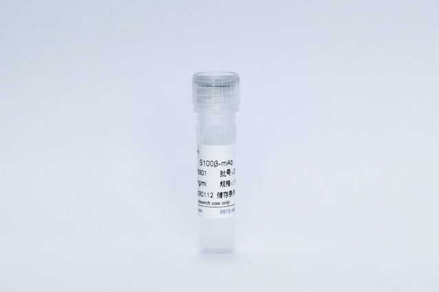 Recombinant S100-&beta; Protein (S100&beta;-mAb)