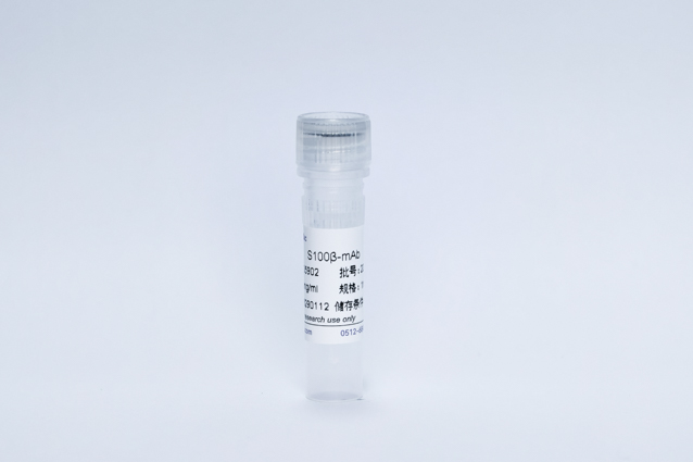 Recombinant S100-&beta; Protein (S100&beta;-mAb)