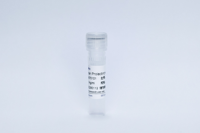 Recombinant Human Prolactin(His Tag)