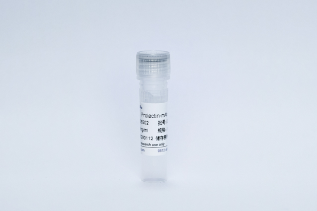 Recombinant Prolactin Protein (Prolactin-mAb)