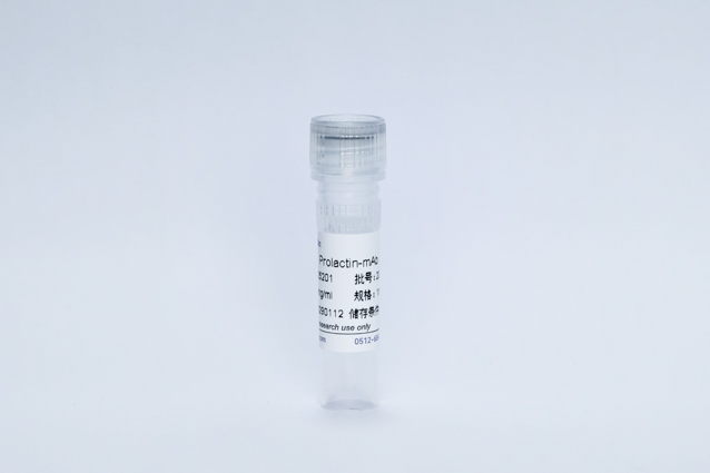 Recombinant Prolactin Protein (Prolactin-mAb)