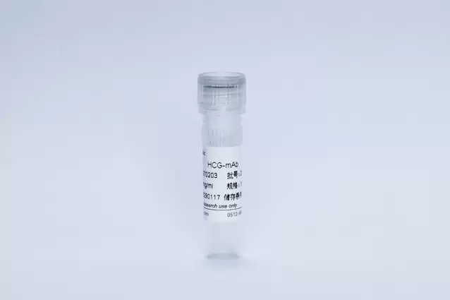 HCG Monoclonal Antibody