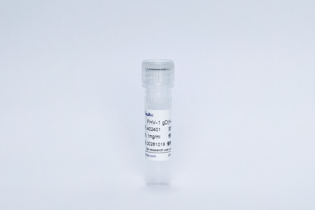 Recombinant FHV-1 gD(His Tag)