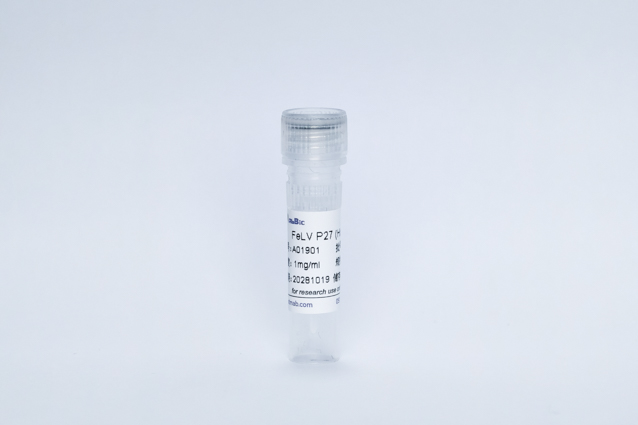 Recombinant FeLV P27 (His Tag)