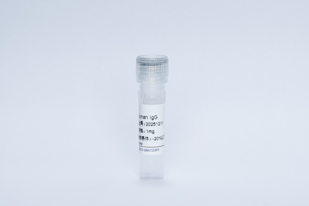 Mouse anti-Human IgG