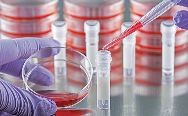 Induced Pluripotent Stem Cells: Generation, Applications, and Future