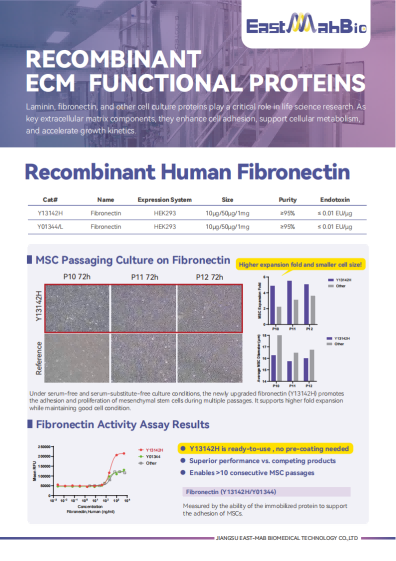 Recombinant ECM Functional Proteins
