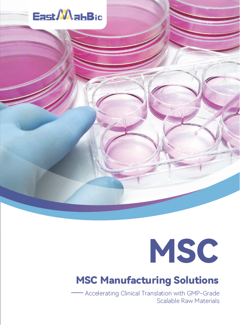 EastMabBio MSC Manufacturing Solutions