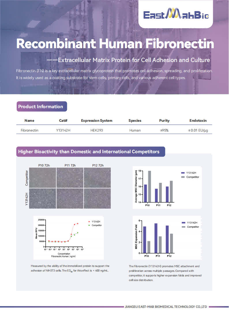 EastMabBio Recombinant Human Fibronectin