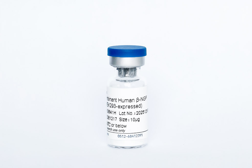 Recombinant Human &beta;-NGF