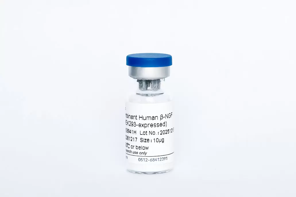 Recombinant Human β-NGF