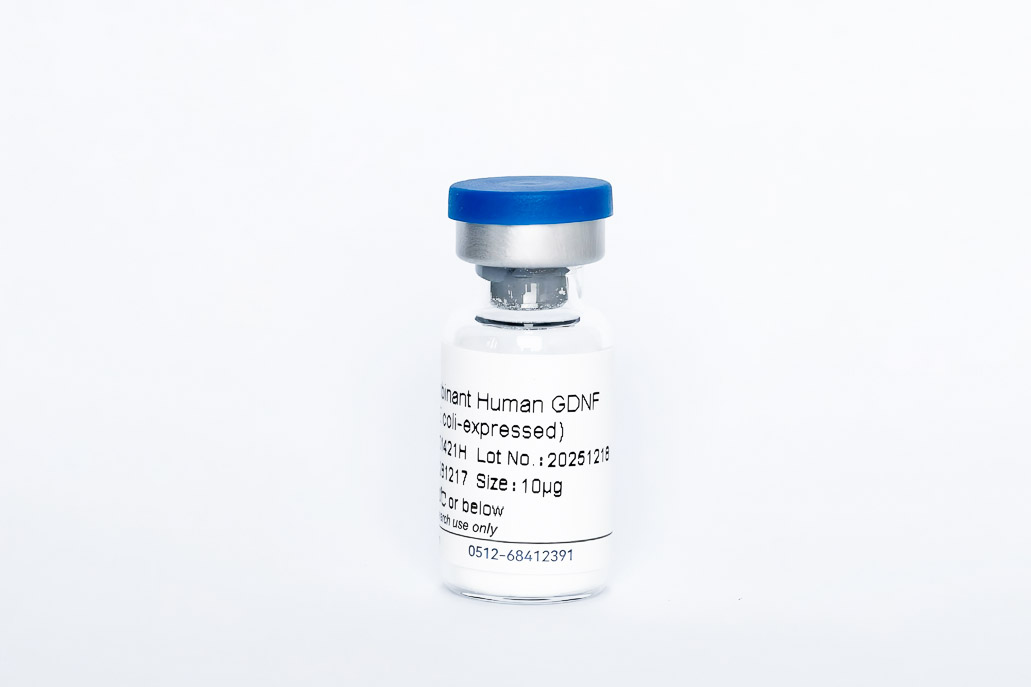 Recombinant Human GDNF