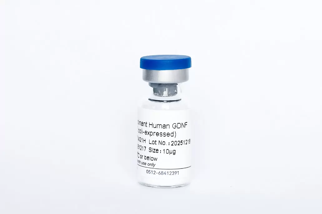 Recombinant Human GDNF