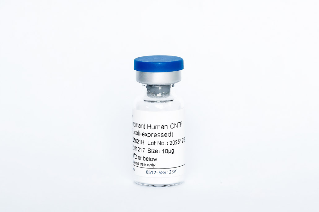 Recombinant Human CNTF