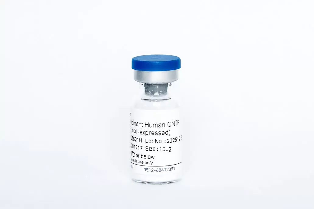 Recombinant Human CNTF
