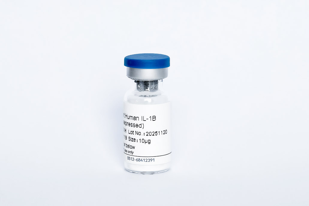 Recombinant Human IL-1B