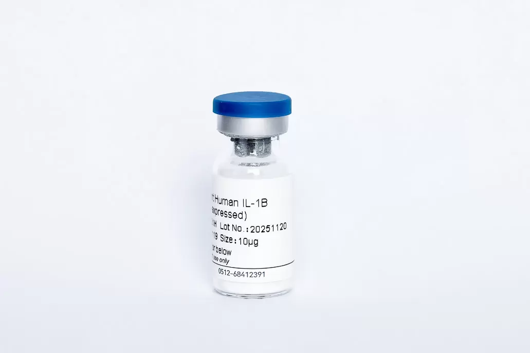Recombinant Human IL-1B