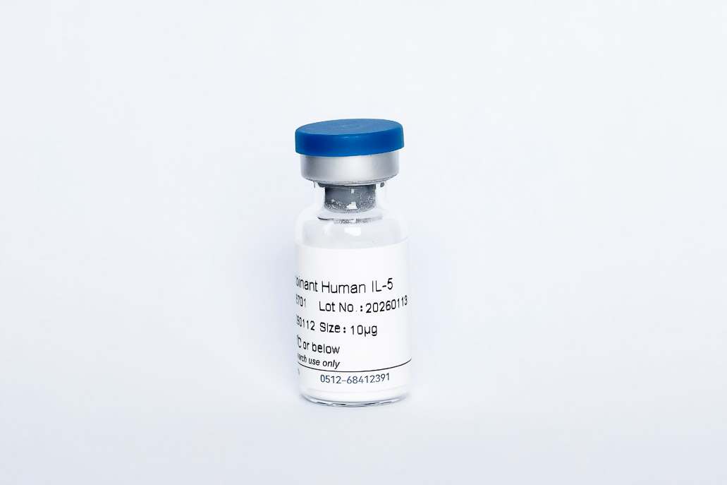Recombinant Human IL-5