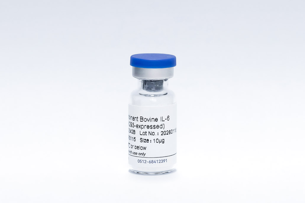 Recombinant Bovine IL-6