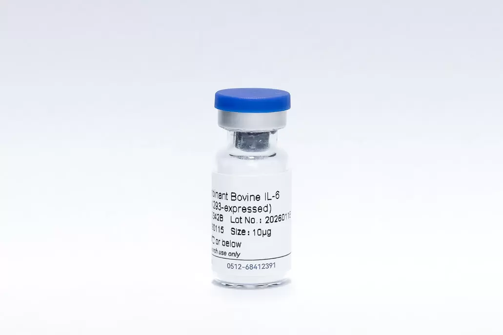 Recombinant Bovine IL-6