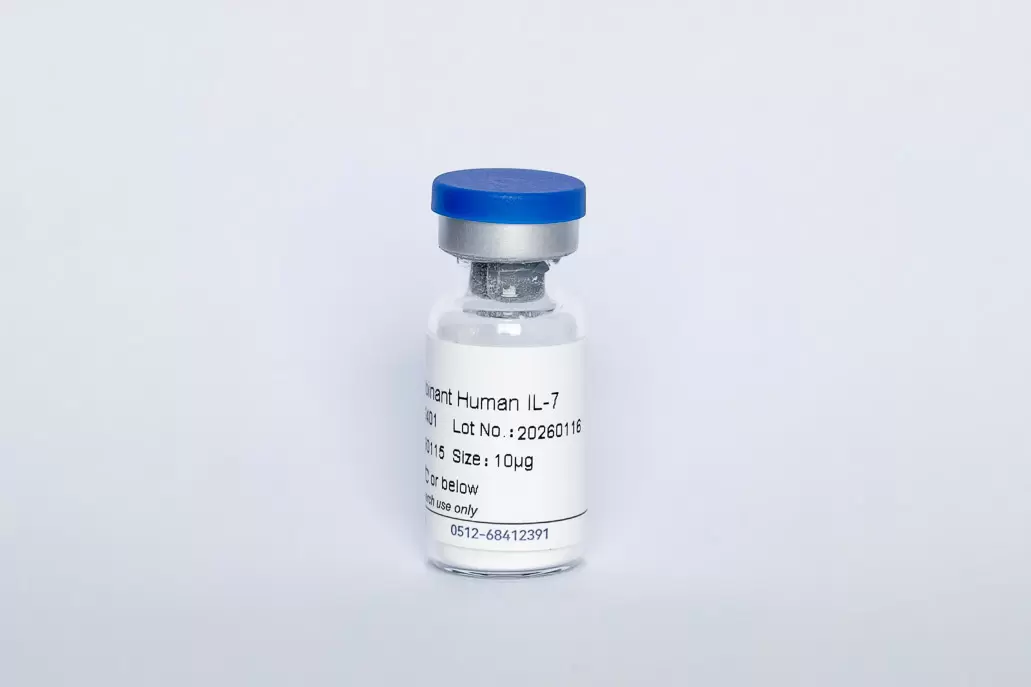 Recombinant Human IL-7