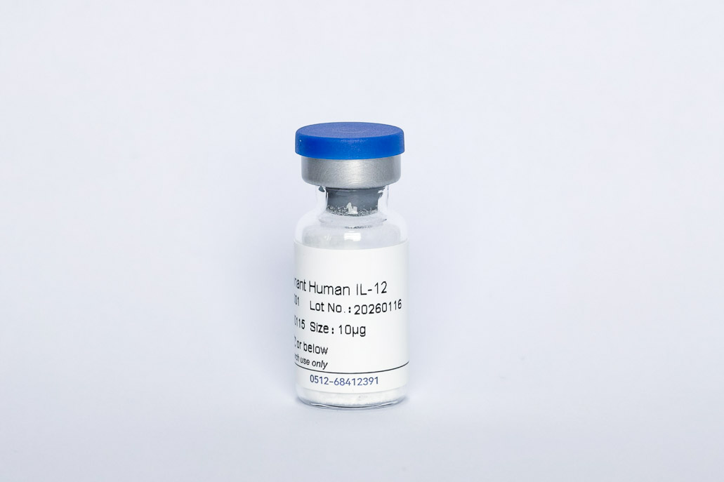 Recombinant Human IL-12