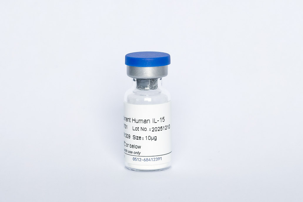 Recombinant Human IL-15