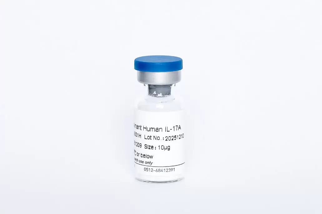 Recombinant Human IL-17A