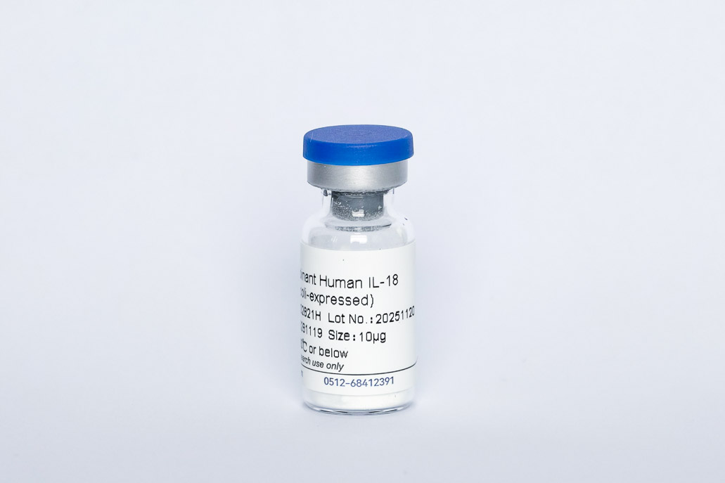 Recombinant Human IL-18