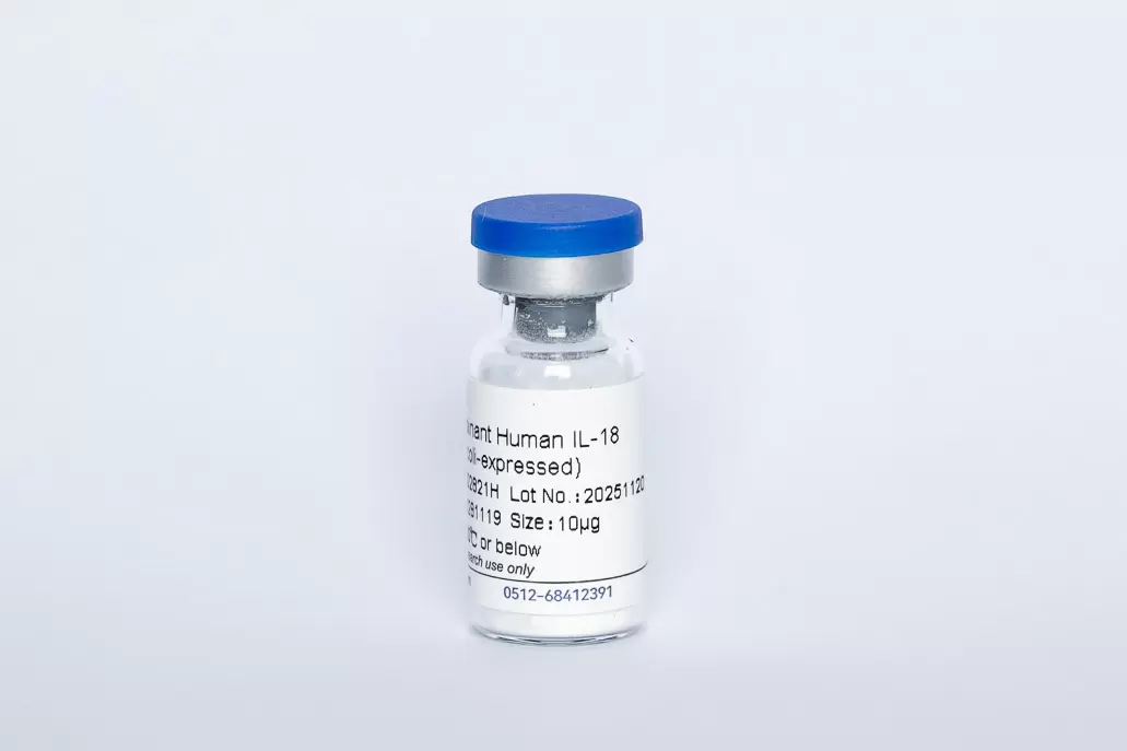 Recombinant Human IL-18