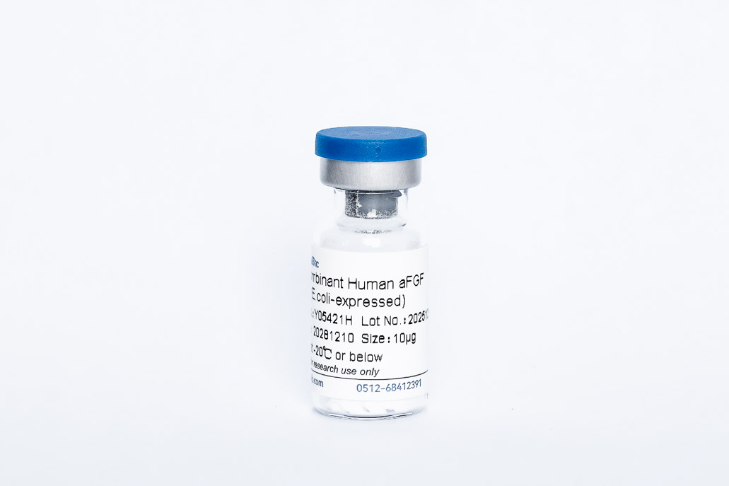 Recombinant Human FGF-1