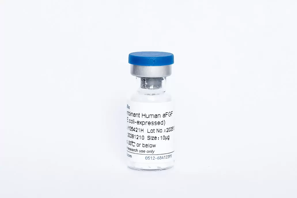 Recombinant Human FGF-1/aFGF