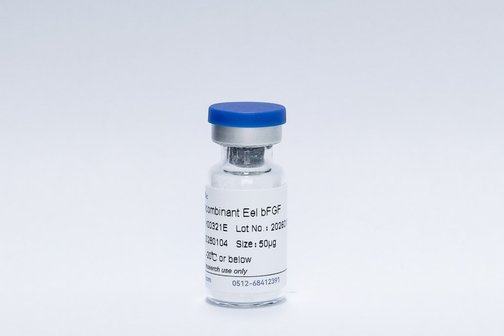 Recombinant Eel FGF-2/bFGF