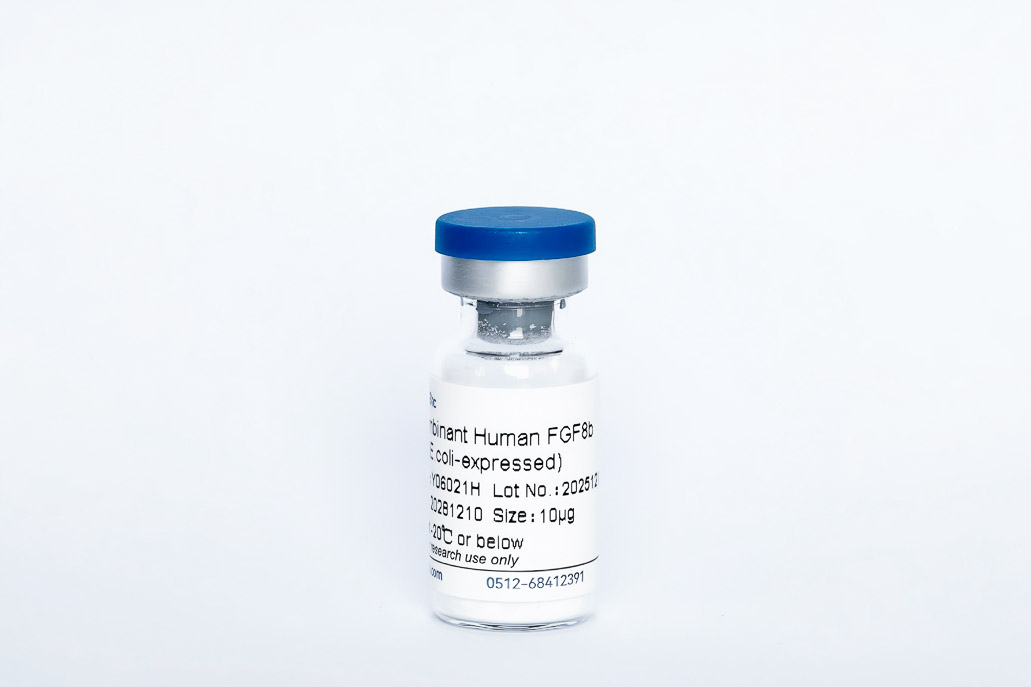 Recombinant Human FGF-8b