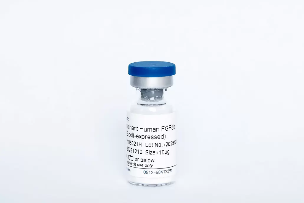 Recombinant Human FGF-8b